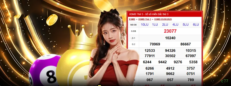 Aviator Social Experience