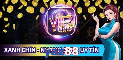 yaz88
