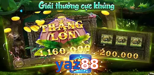 yaz88
